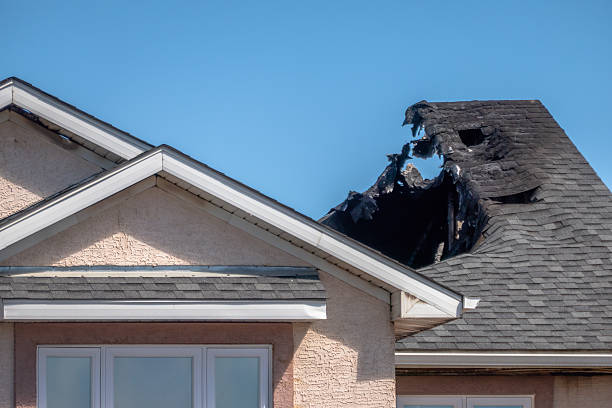 Top rated local Fire Damage Removal specialists in Morton, TX
